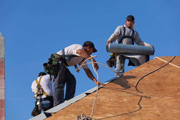 Best Roof Maintenance Services  in Lincroft, NJ
